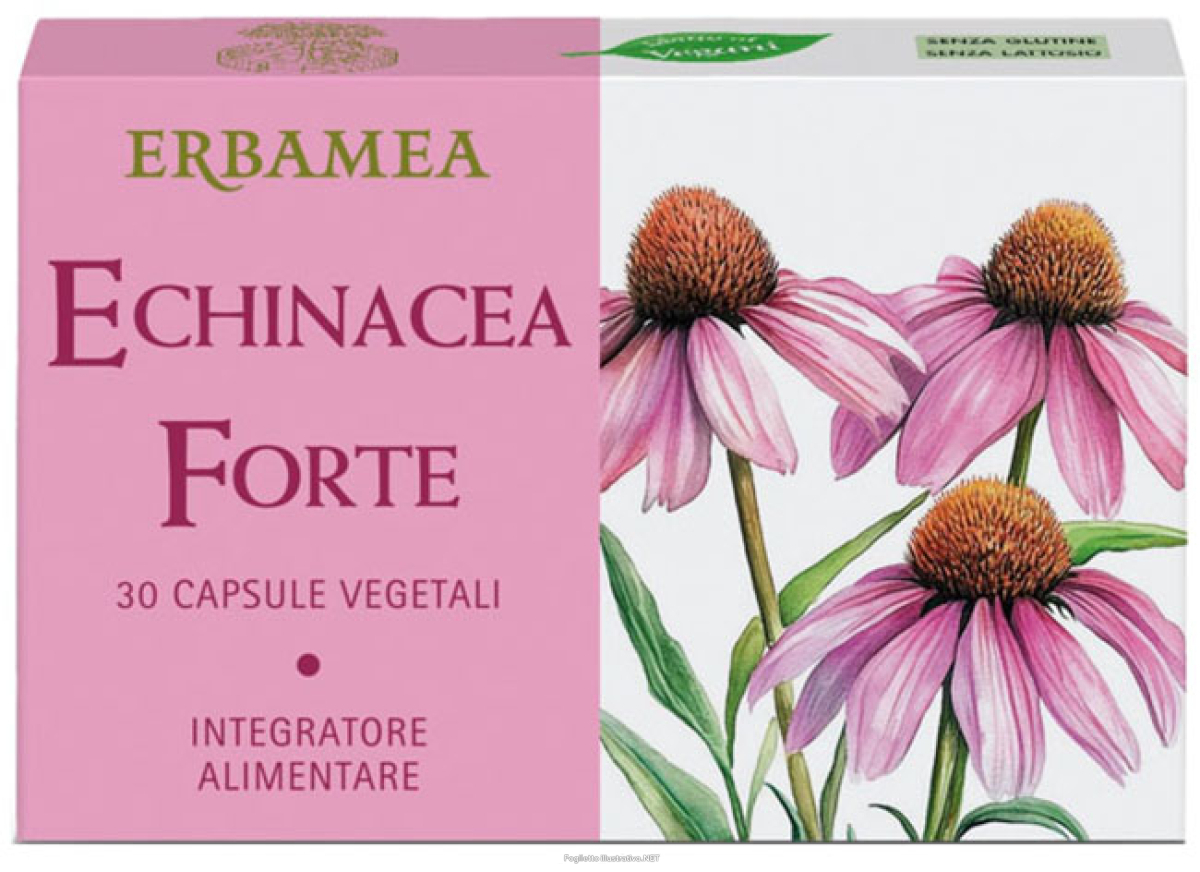 Acquista Online echinacea forte 30 capsule senza glutine e lattosio e Cerca l'offerta più bassa
