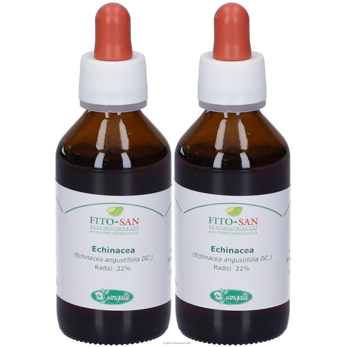 Acquista Online echinacea radice tintura madre 100 ml 2x100 ml gocce orali e Cerca l'offerta più bassa