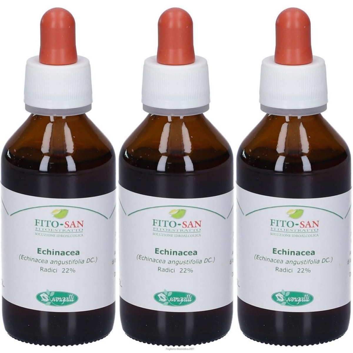 Acquista Online echinacea radice tintura madre 100 ml 3x100 ml gocce orali e Cerca l'offerta più bassa