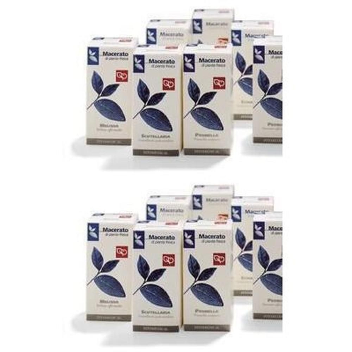 Acquista Online echinacea tintura madre 200 ml 2x200 ml gocce orali e Cerca l'offerta più bassa