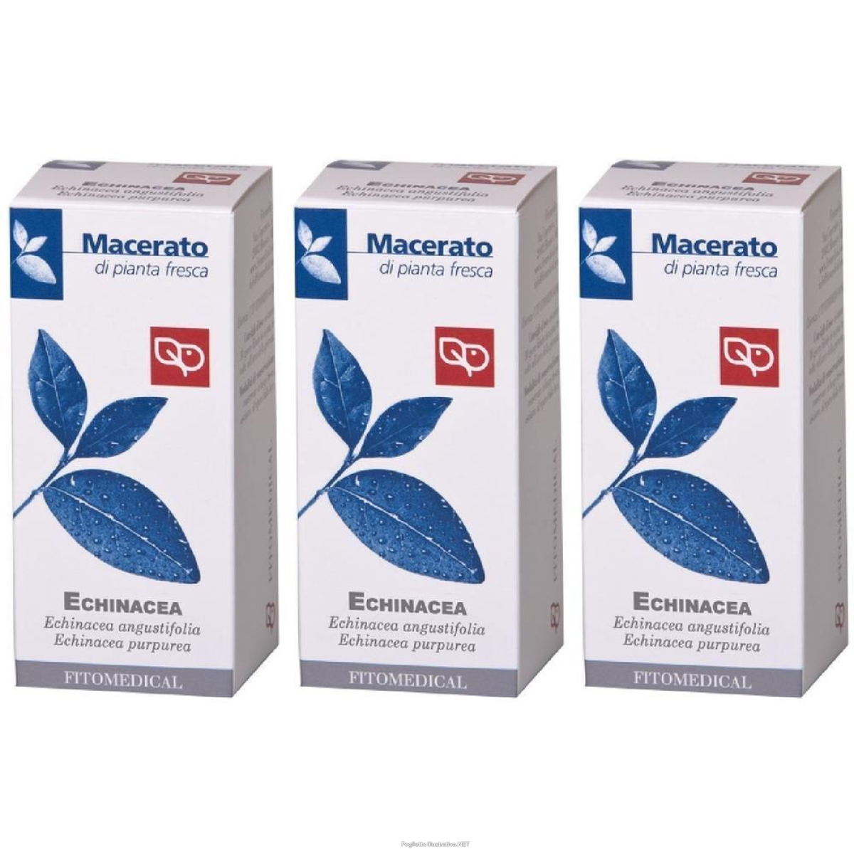 Acquista Online echinacea tintura madre 50 ml 3x50 ml gocce orali e Cerca l'offerta più bassa