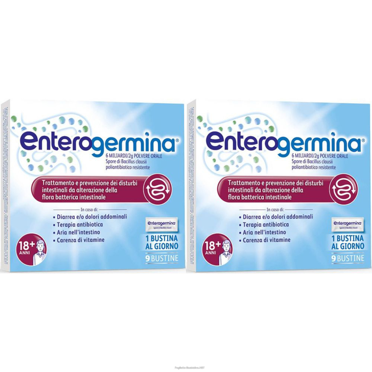 Acquista Online enterogermina 6 miliardi bustine set da 2 2x9x2 g polvere per soluzion e Cerca l'offerta più bassa