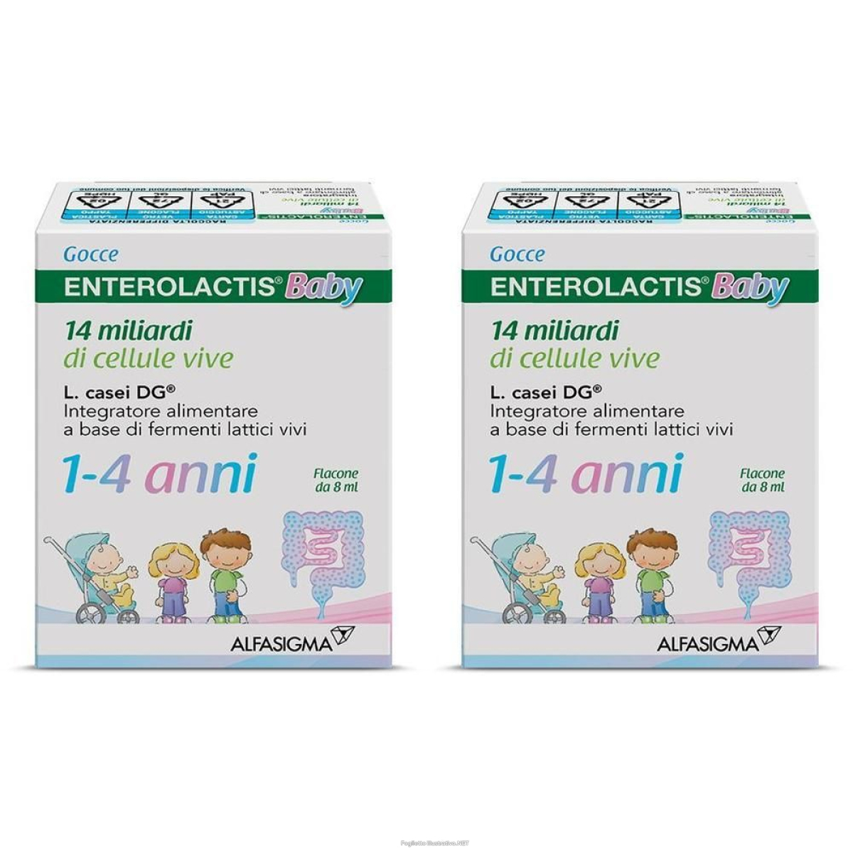 Acquista Online Enterolactis Baby Gocce Fermenti Lattici e Probiotici per i Più Piccol e Cerca l'offerta più bassa