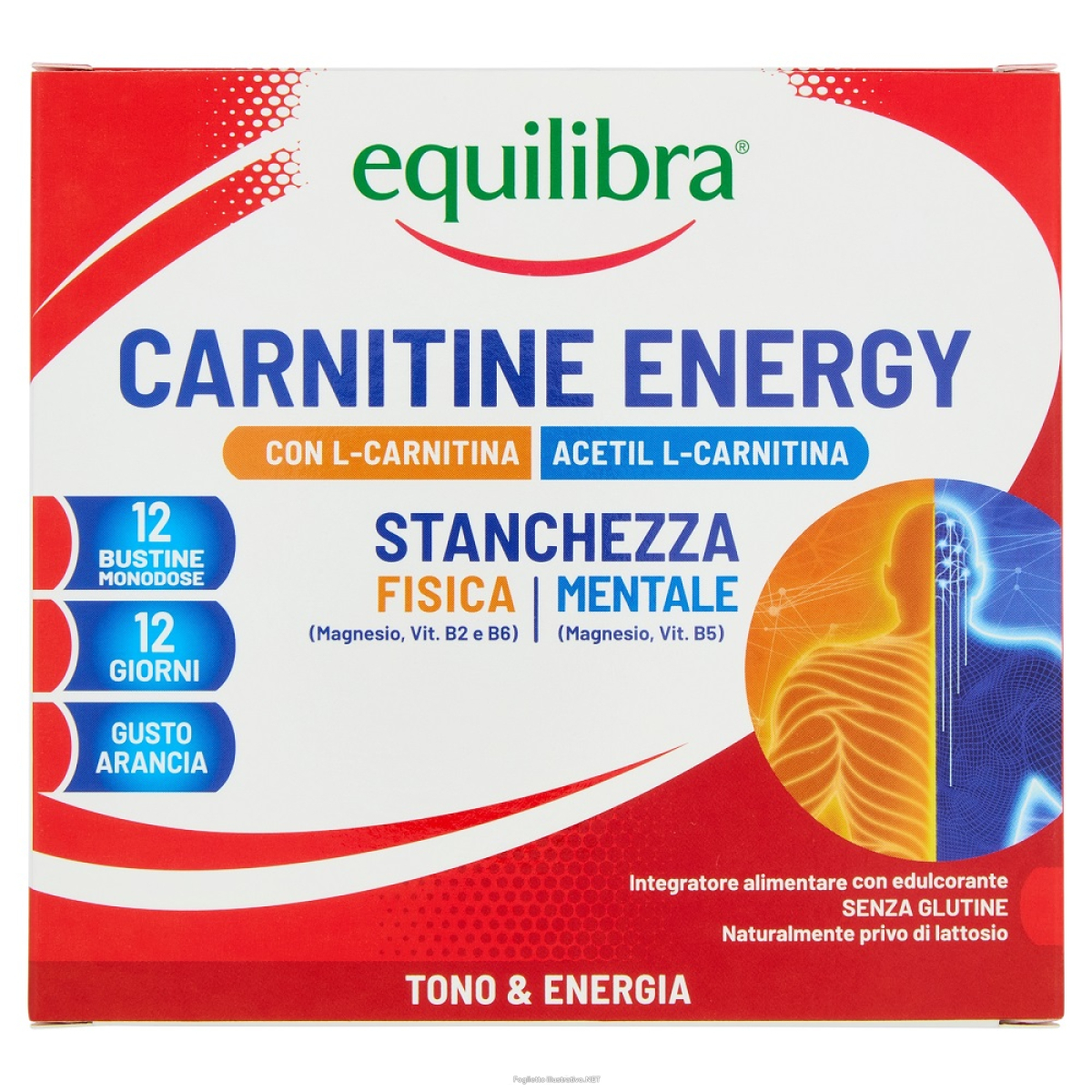 Acquista Online equilibra carnitine energy integratore tonico-energetico gusto arancia 12 bustine e Cerca l'offerta più bassa