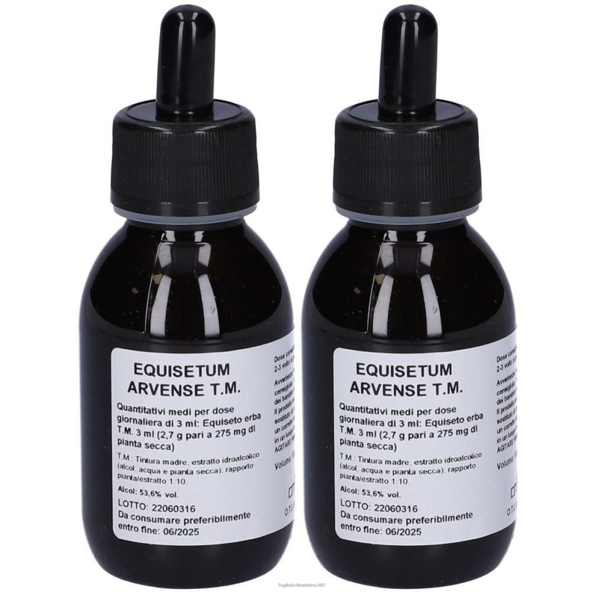Acquista Online equisetum arvense tm gtt 100ml 2x100 ml gocce orali e Cerca l'offerta più bassa