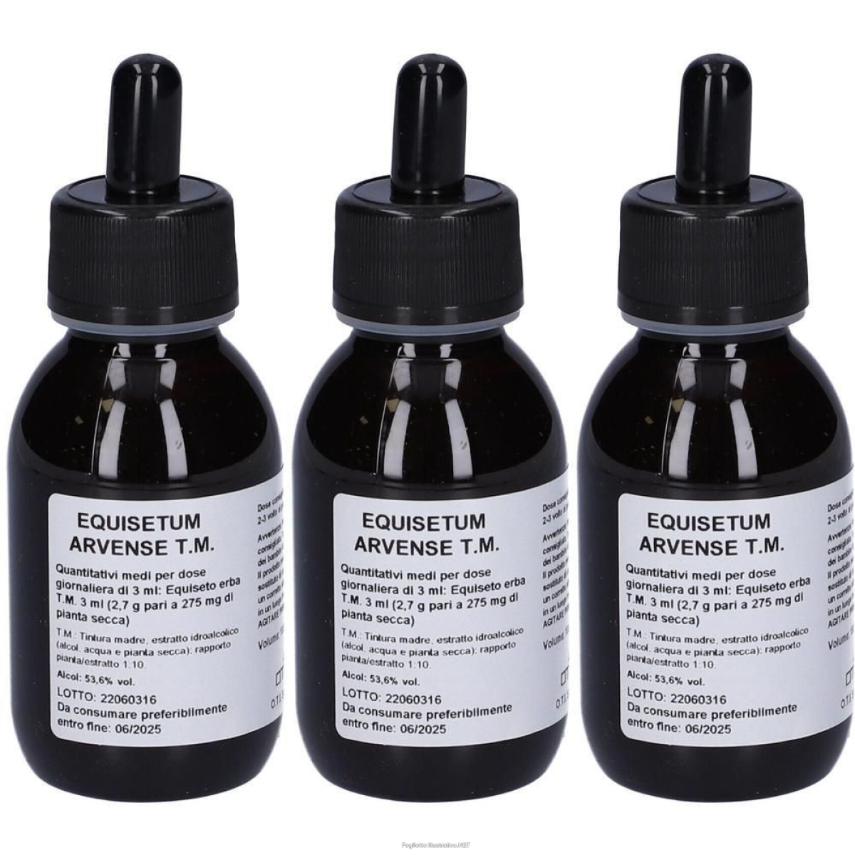 Acquista Online equisetum arvense tm gtt 100ml 3x100 ml gocce orali e Cerca l'offerta più bassa