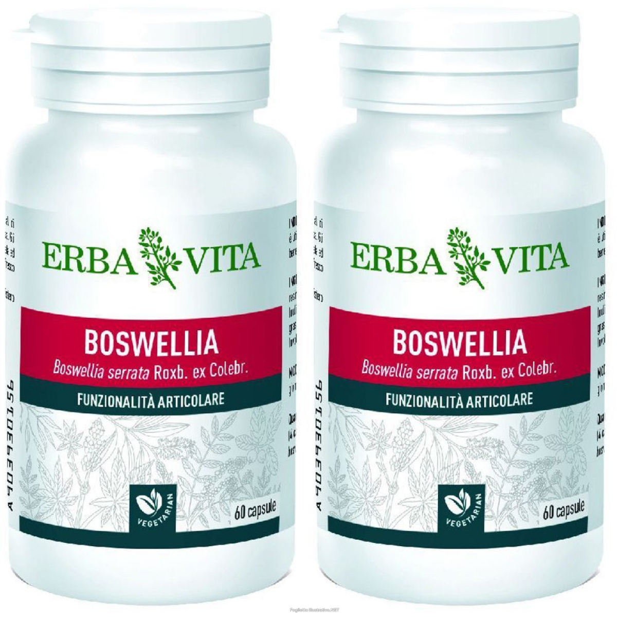 Acquista Online erba vita boswellia set da 2 2x24 g capsule e Cerca l'offerta più bassa