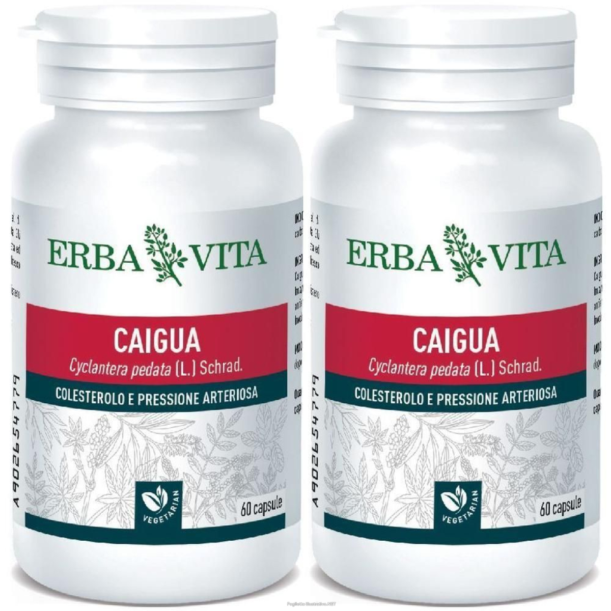 Acquista Online erba vita caigua capsule 2x60 pz e Cerca l'offerta più bassa