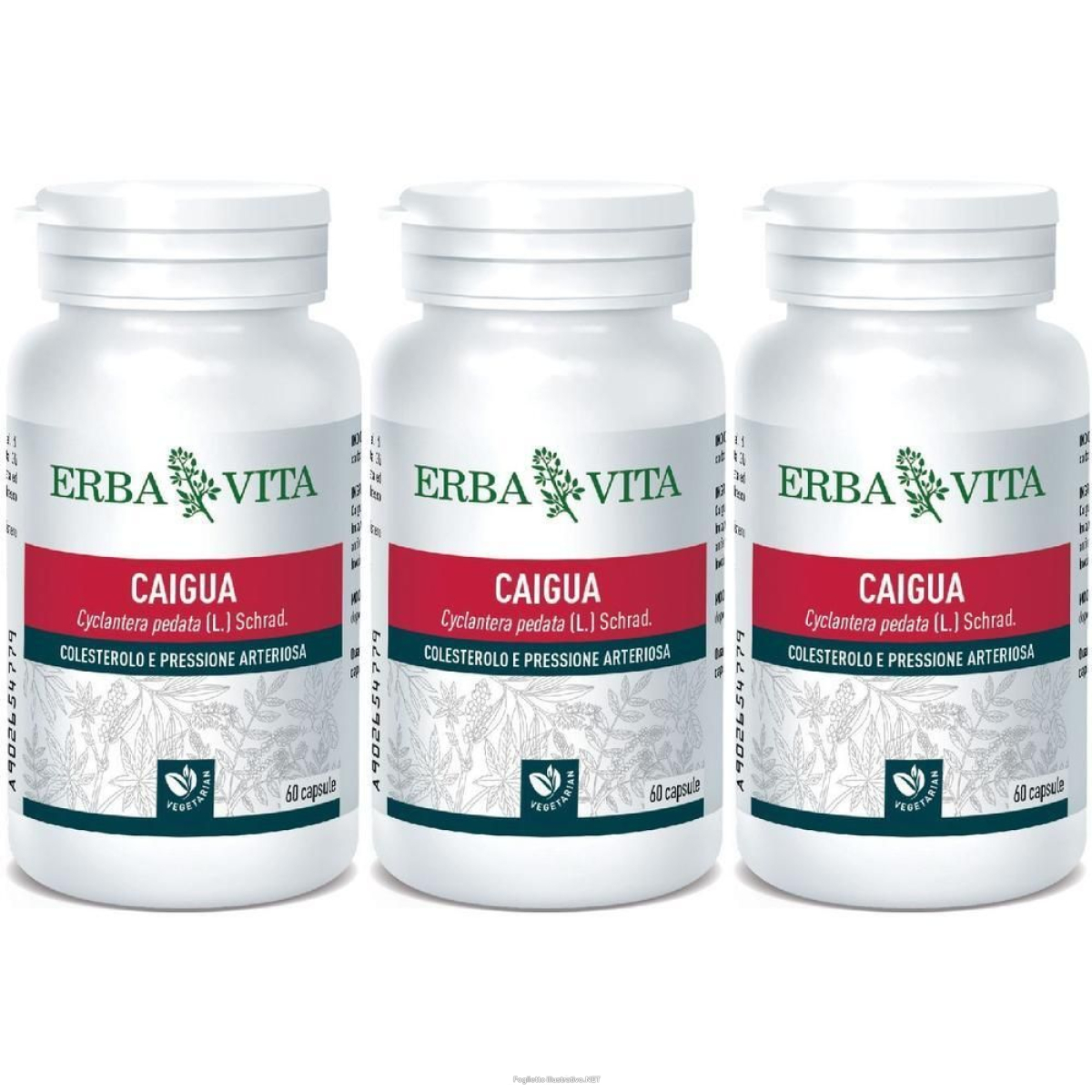 Acquista Online erba vita caigua capsule 3x60 pz e Cerca l'offerta più bassa
