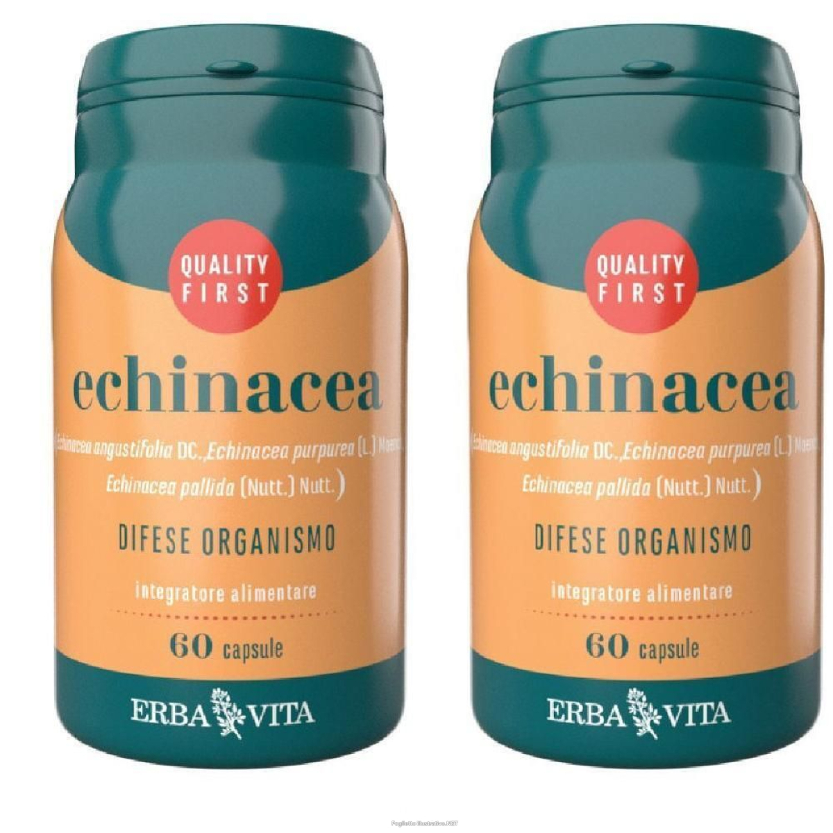 Acquista Online erba vita echinacea 2x30 g capsule e Cerca l'offerta più bassa
