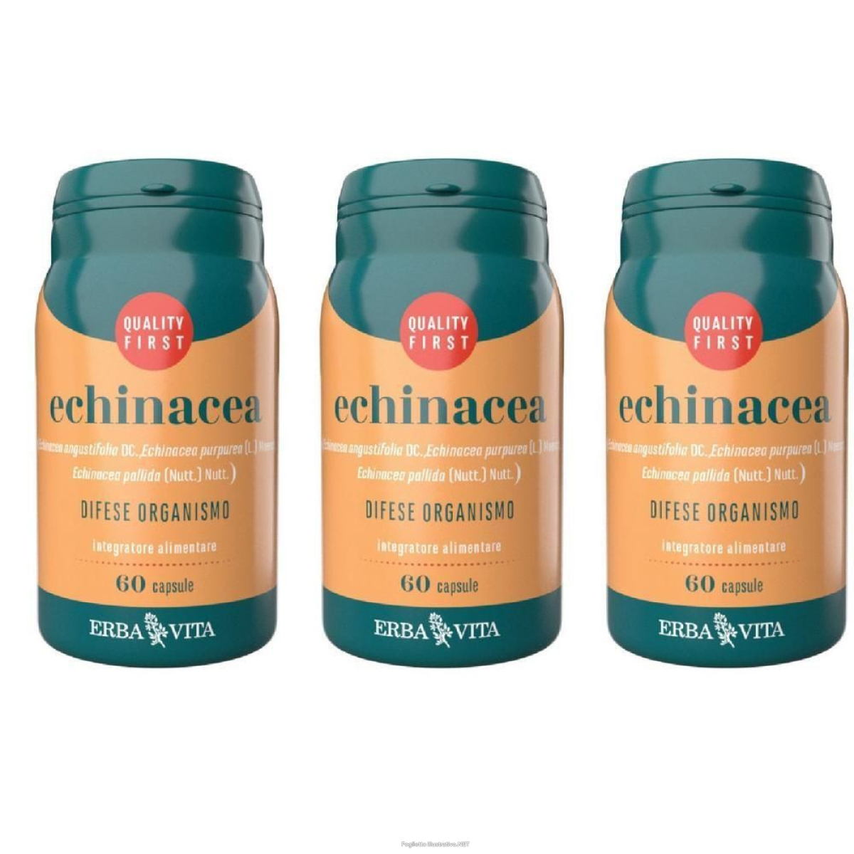 Acquista Online erba vita echinacea 3x30 g capsule e Cerca l'offerta più bassa