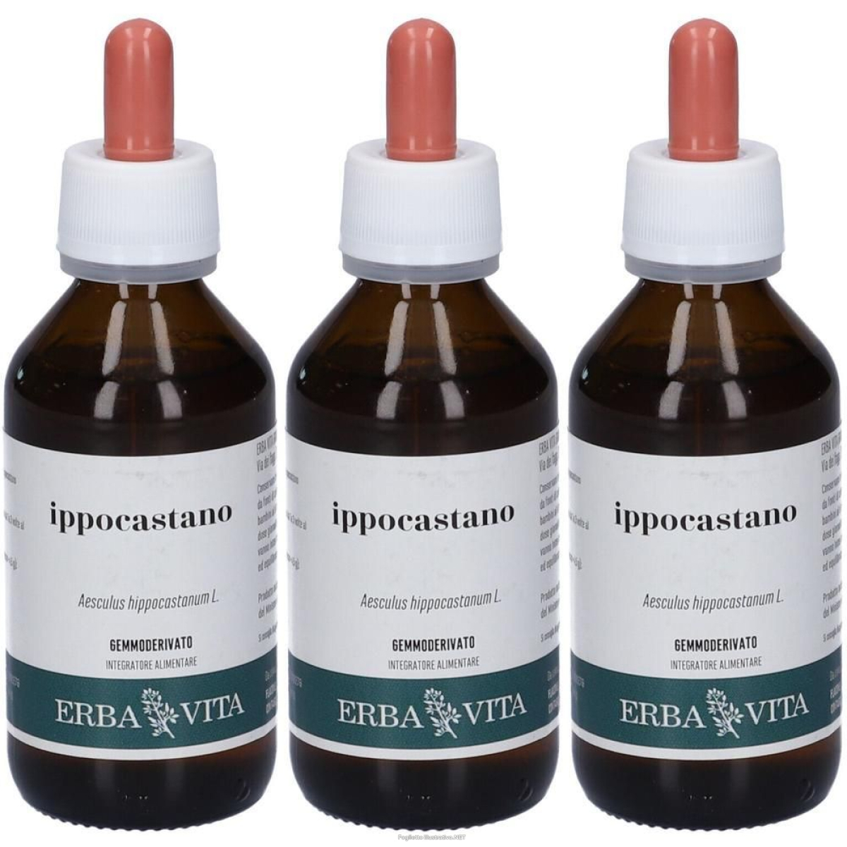 Acquista Online erba vita gemmoderivato di ippocastano 3x100 ml soluzione orale e Cerca l'offerta più bassa