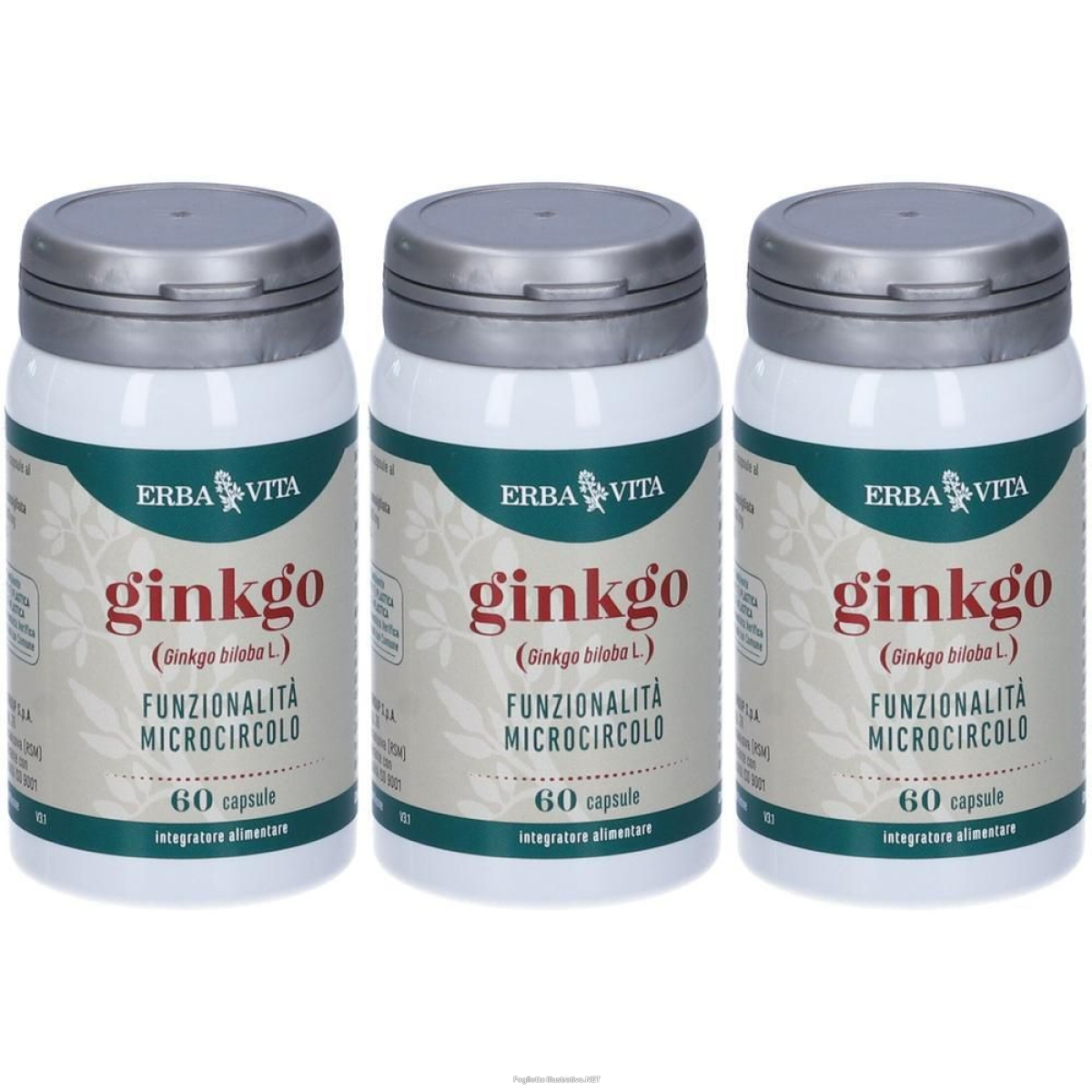 Acquista Online erba vita ginkgo 3x30 g capsule e Cerca l'offerta più bassa