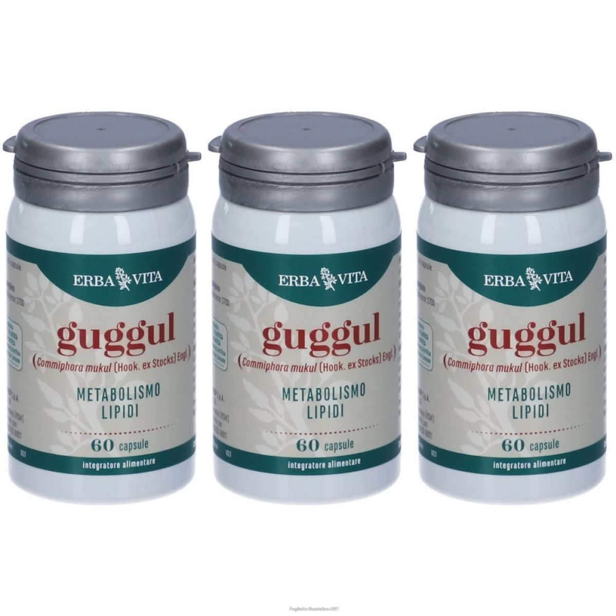 Acquista Online erba vita guggul capsule 3x42 g e Cerca l'offerta più bassa