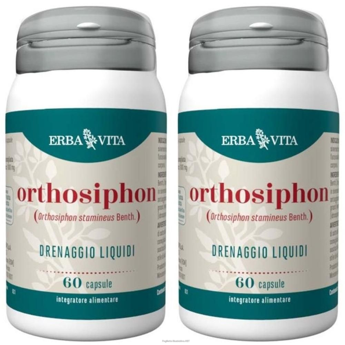 Acquista Online erba vita orthosiphon capsule 2x27 g e Cerca l'offerta più bassa