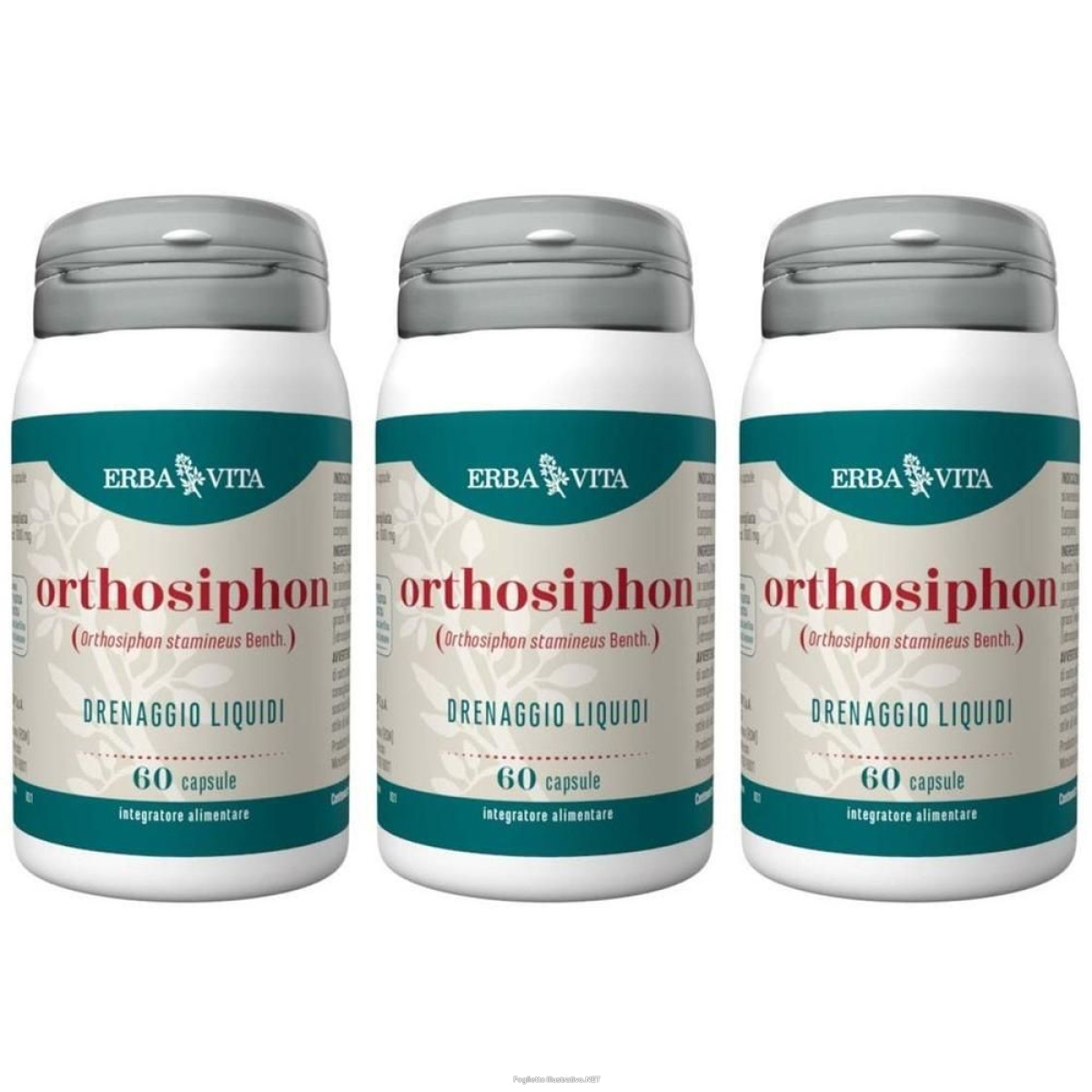 Acquista Online erba vita orthosiphon capsule 3x27 g e Cerca l'offerta più bassa