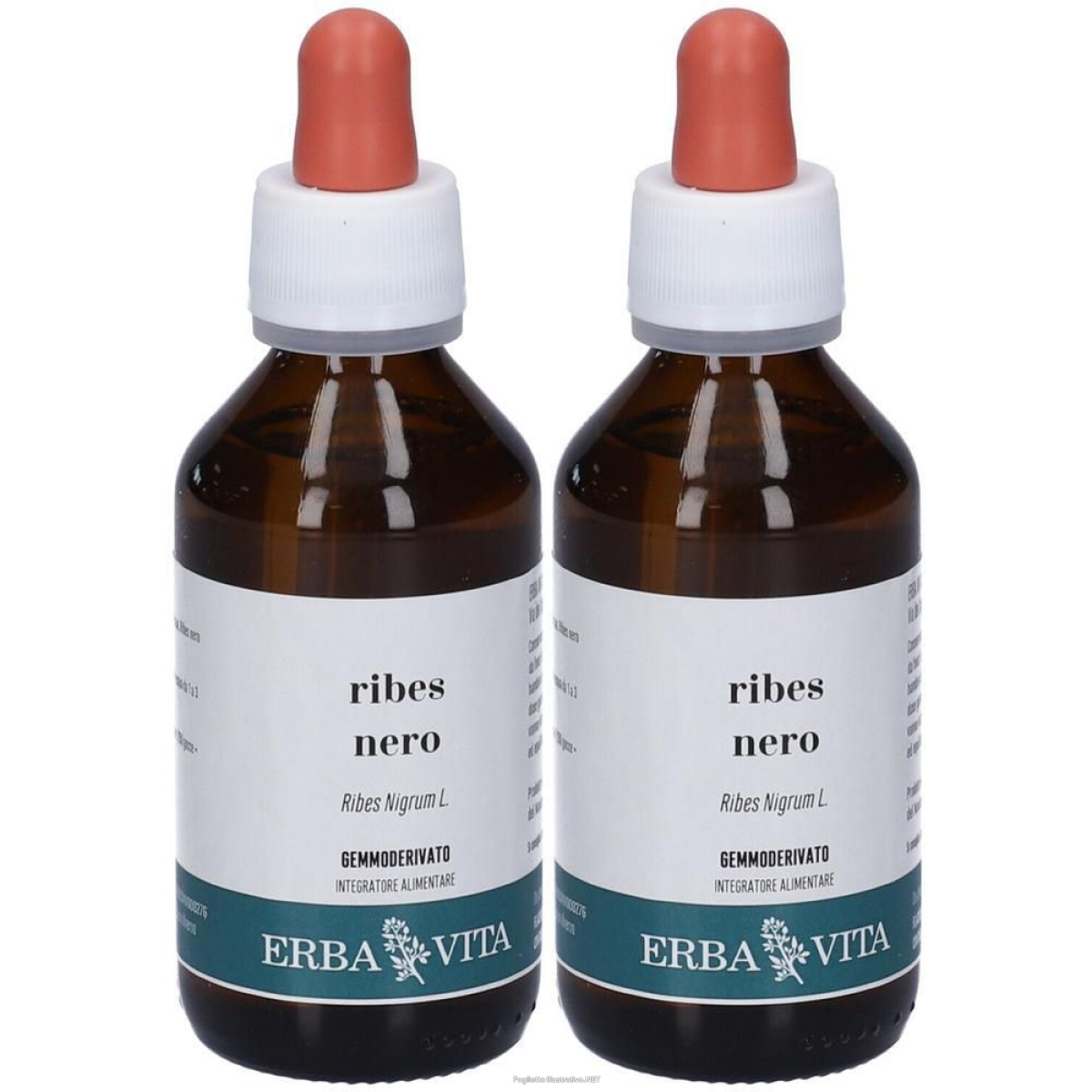Acquista Online erba vita ribes nero gemmoderivato 2x100 ml soluzione orale e Cerca l'offerta più bassa