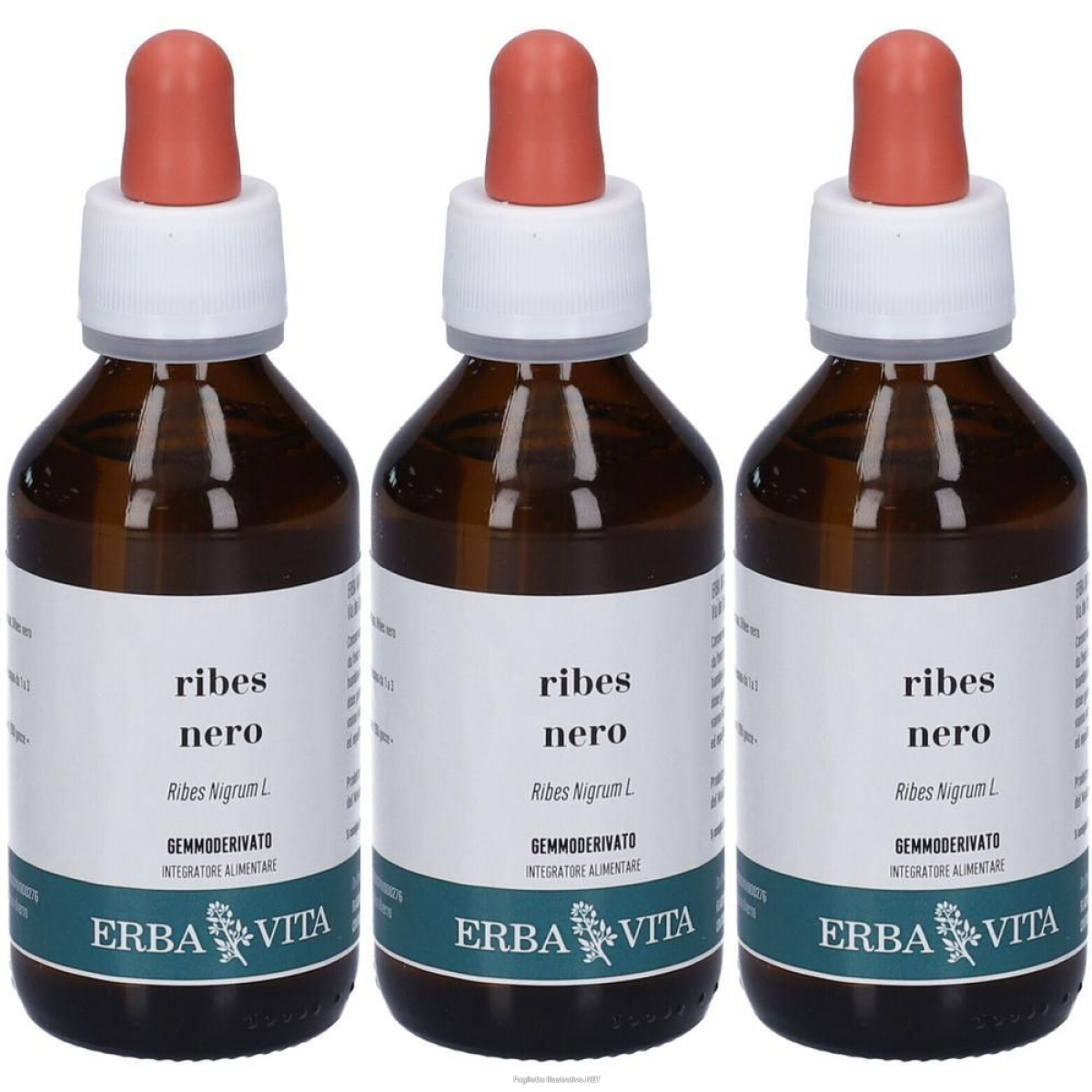 Acquista Online erba vita ribes nero gemmoderivato 3x100 ml soluzione orale e Cerca l'offerta più bassa