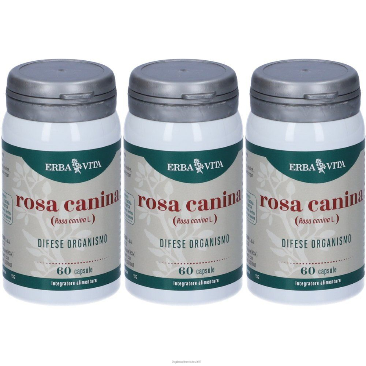 Acquista Online erba vita rosa canina 3x33 g capsule e Cerca l'offerta più bassa
