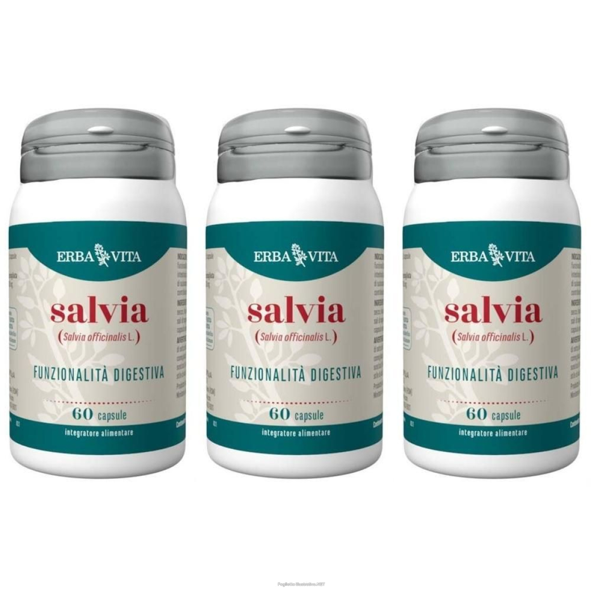 Acquista Online erba vita salvia capsule 3x30 g e Cerca l'offerta più bassa