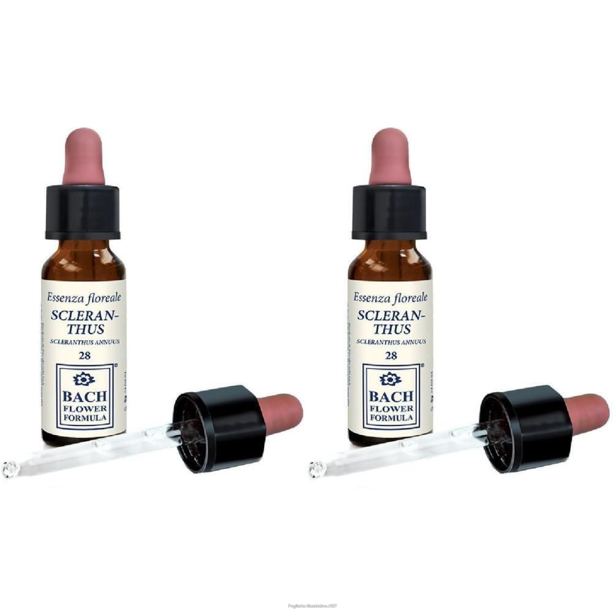 Acquista Online Erba Vita Scleranthus Original Gocce 10 ml 2x10 ml Orali e Cerca l'offerta più bassa