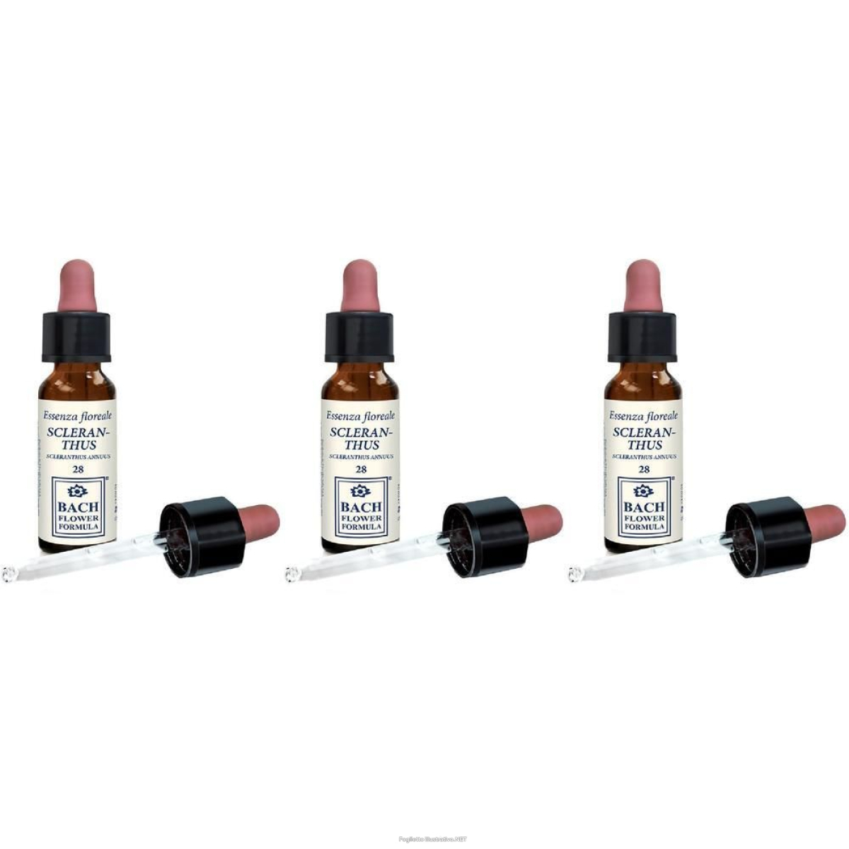 Acquista Online Erba Vita Scleranthus Original Gocce 10 ml 3x10 ml Orali e Cerca l'offerta più bassa