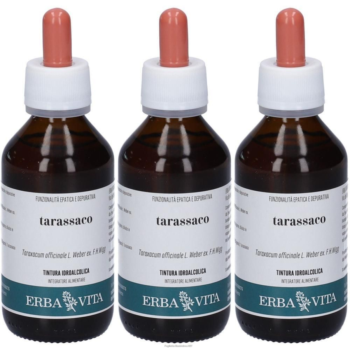 Acquista Online erba vita tarassaco radice soluzione idroalcolica 3x100 ml o e Cerca l'offerta più bassa