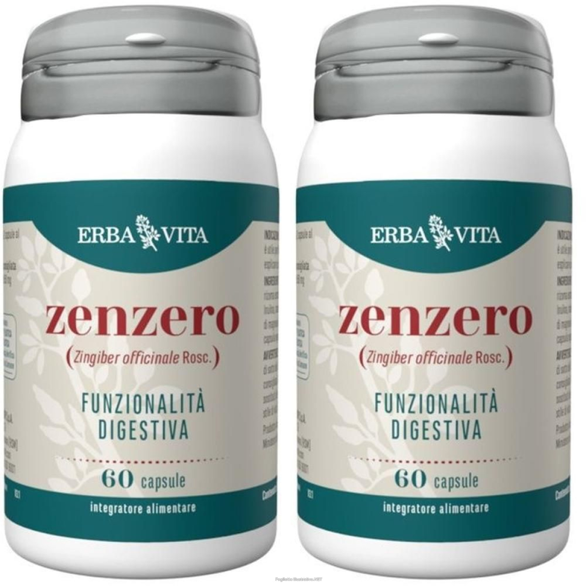Acquista Online erba vita zenzero capsule 2x30 g e Cerca l'offerta più bassa