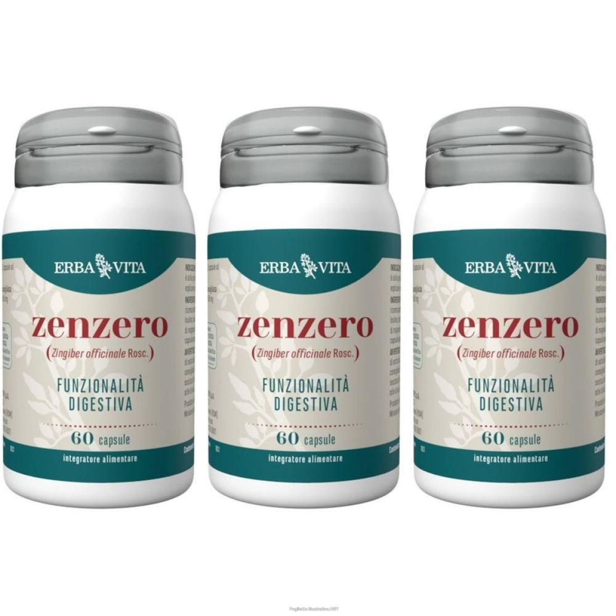 Acquista Online erba vita zenzero capsule 3x30 g e Cerca l'offerta più bassa