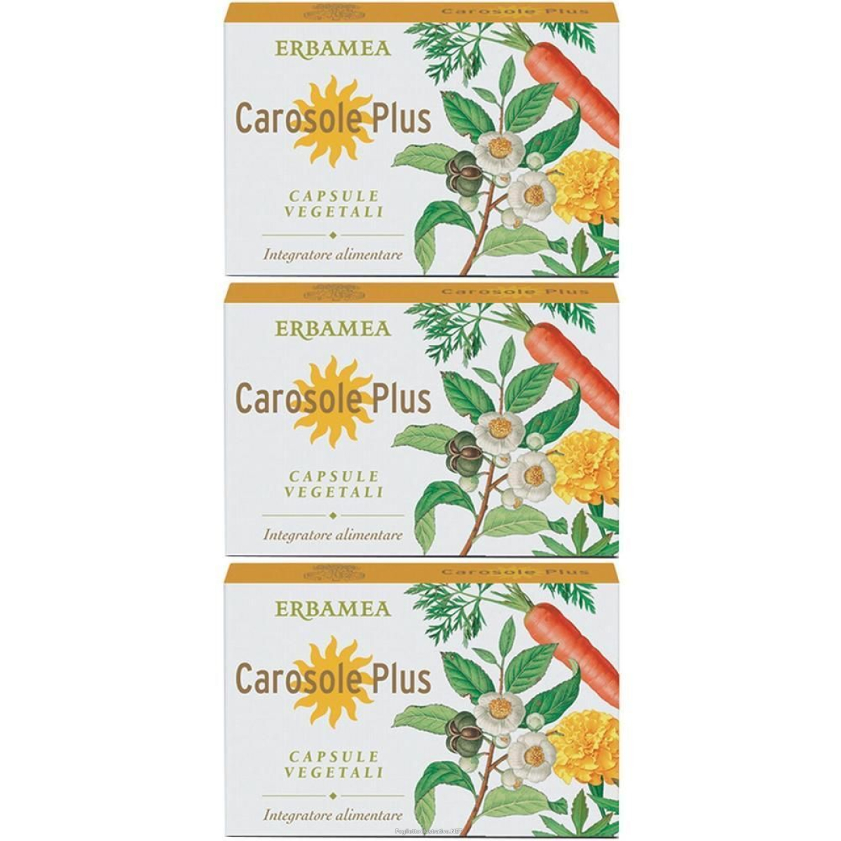 Acquista Online erbamea carosole plus capsule vegetali blister 3x24 pz e Cerca l'offerta più bassa
