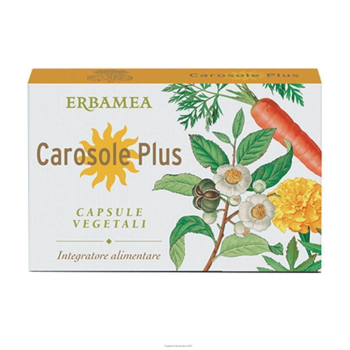 Acquista Online erbamea carosole plus capsule vegetali blister 4x24 pz e Cerca l'offerta più bassa