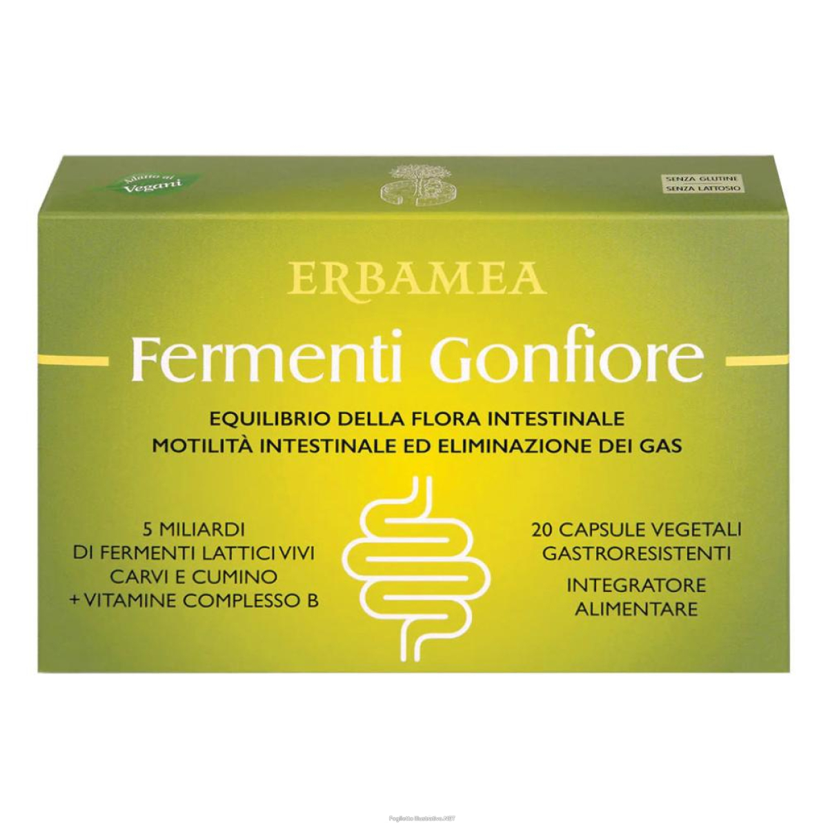 Acquista Online erbamea - fermenti gonfiore confezione 20 capsule e Cerca l'offerta più bassa