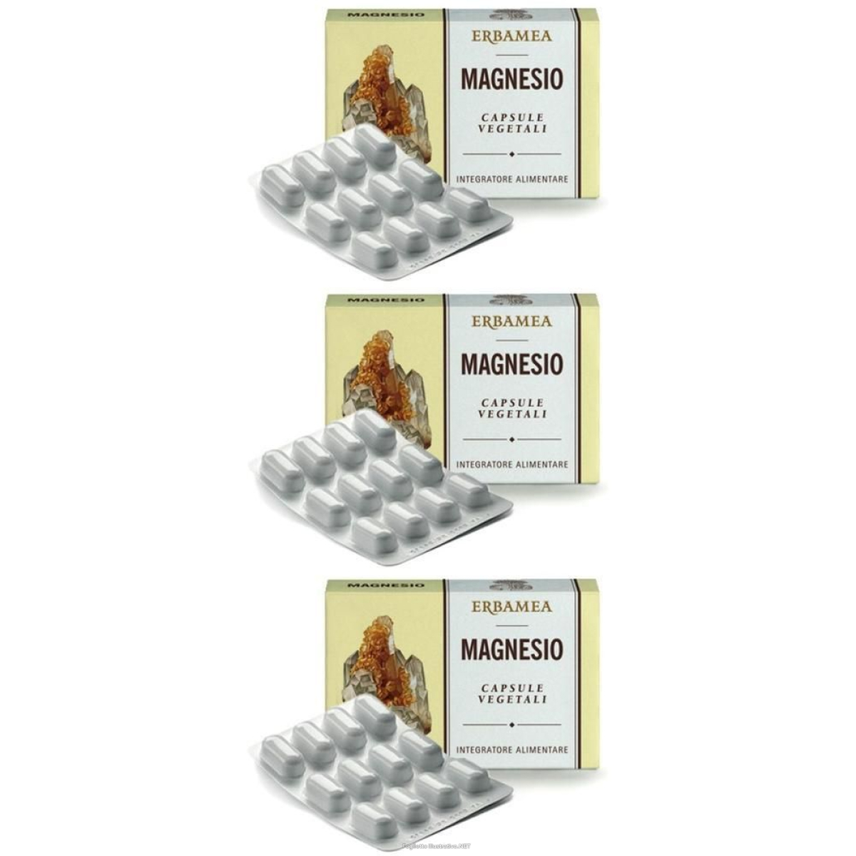 Acquista Online erbamea magnesio capsule 3x24 pz e Cerca l'offerta più bassa