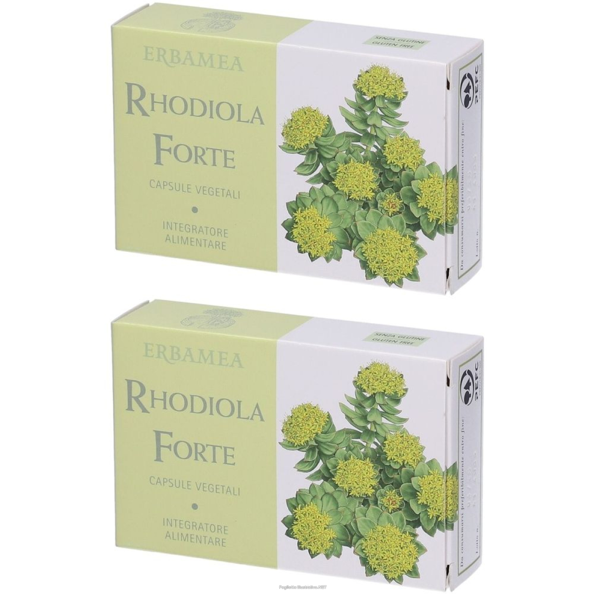 Acquista Online erbamea rhodiola forte capsule set da 2 g e Cerca l'offerta più bassa