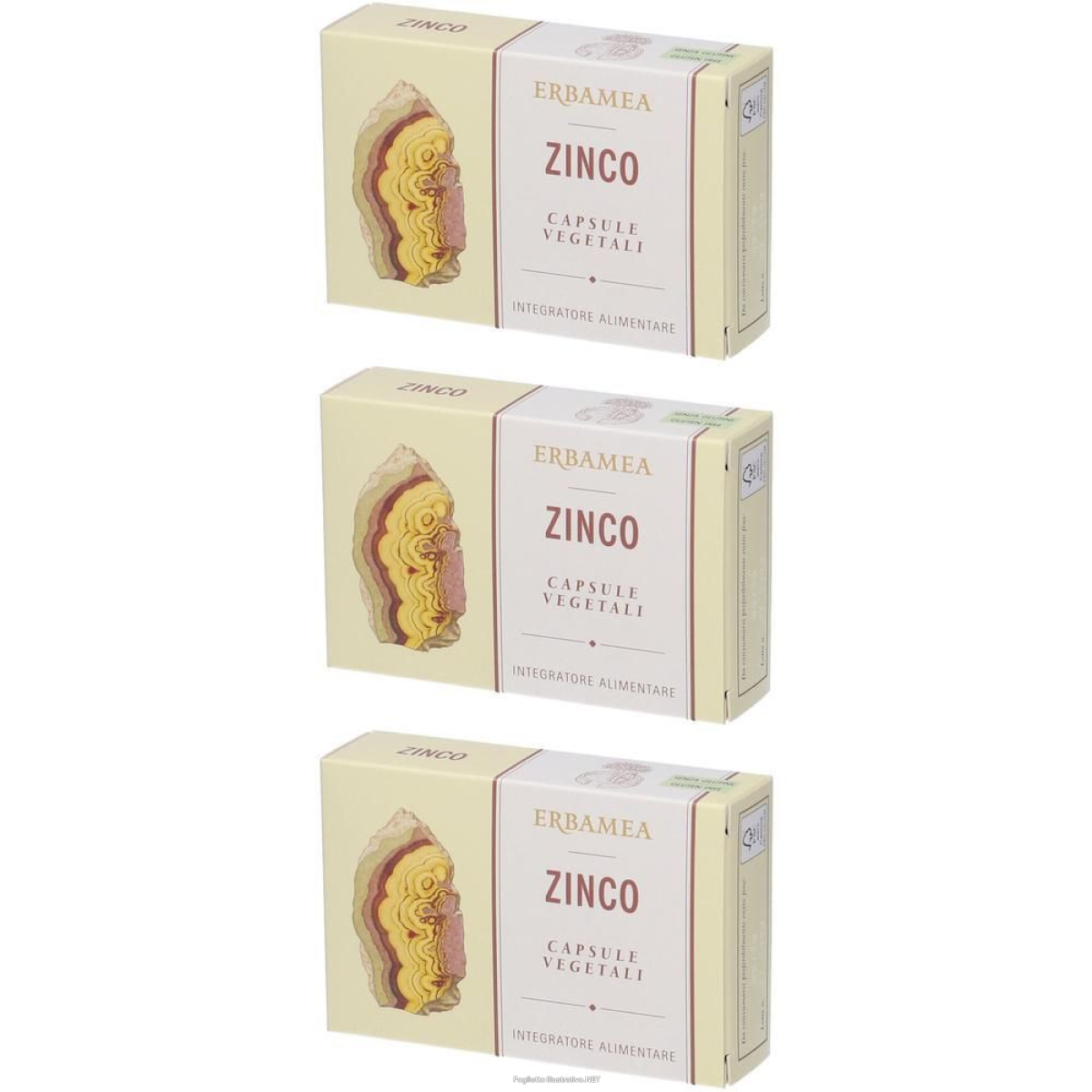 Acquista Online erbamea zinco capsule vegetali 3x12 g e Cerca l'offerta più bassa