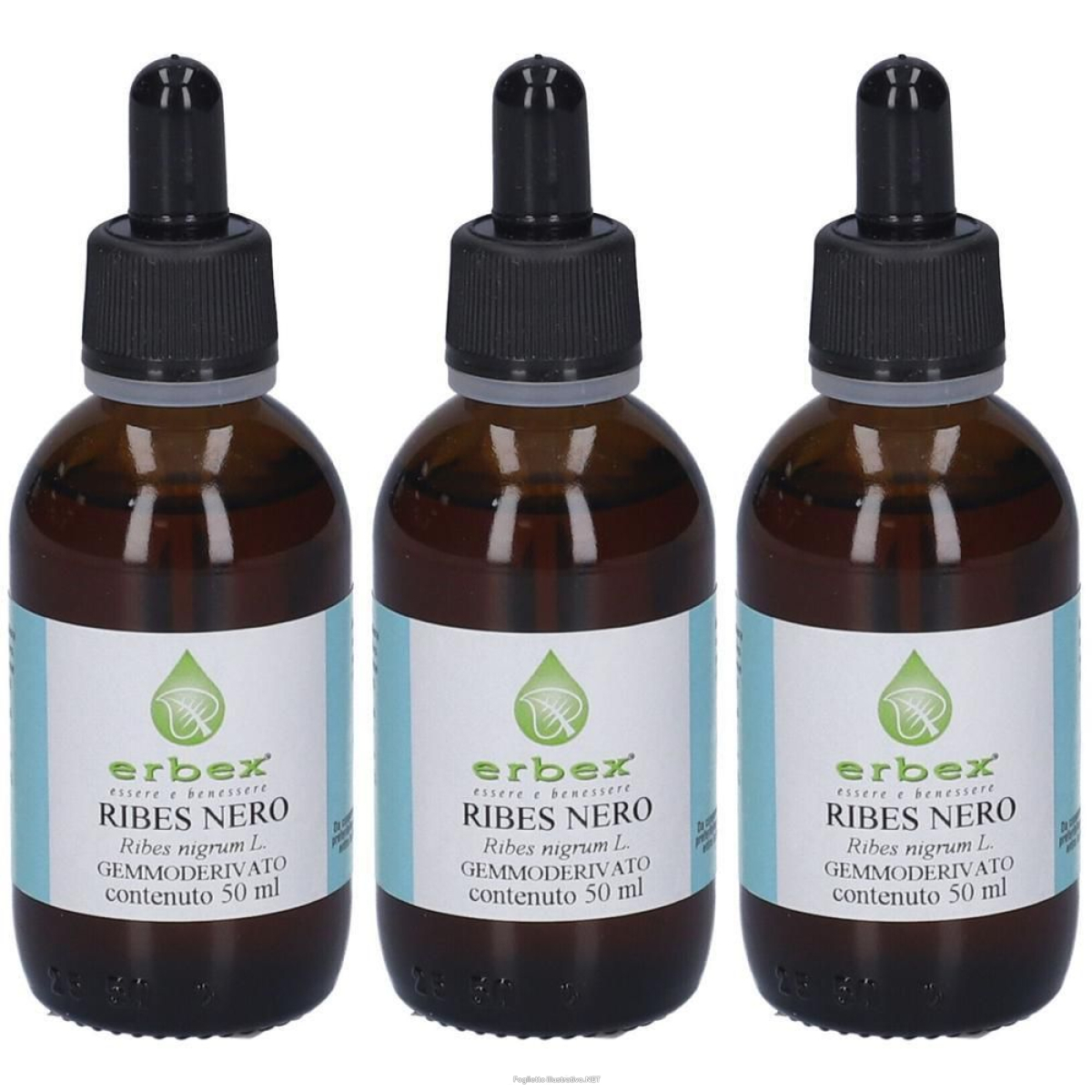 Acquista Online erbex ribes nero macerato glicerico 3x50 ml e Cerca l'offerta più bassa