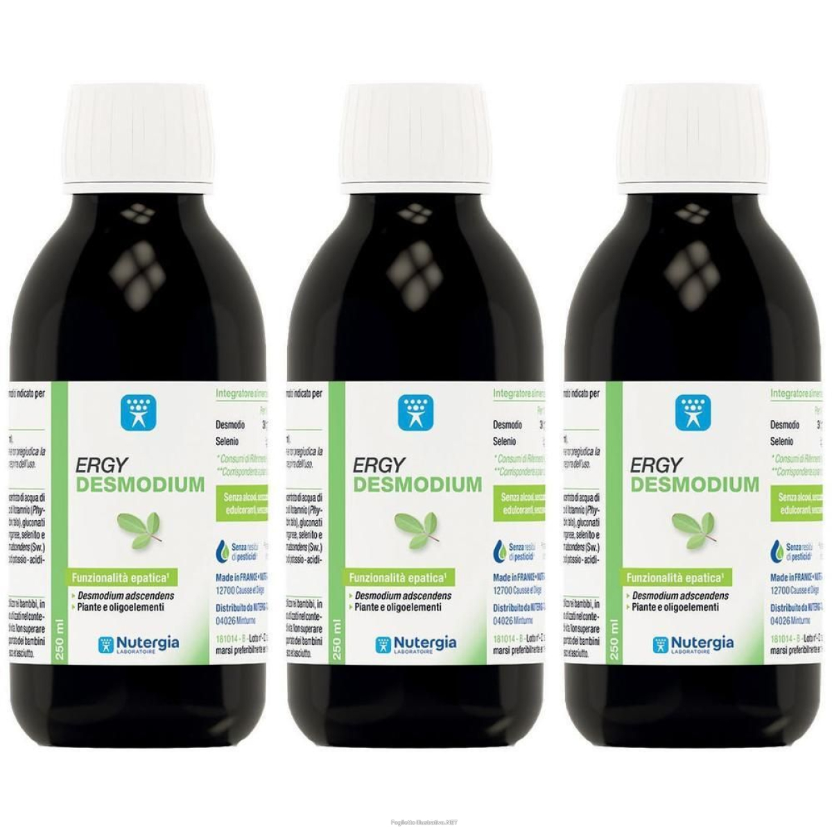 Acquista Online ergy desmodium 3x250 ml sciroppo e Cerca l'offerta più bassa