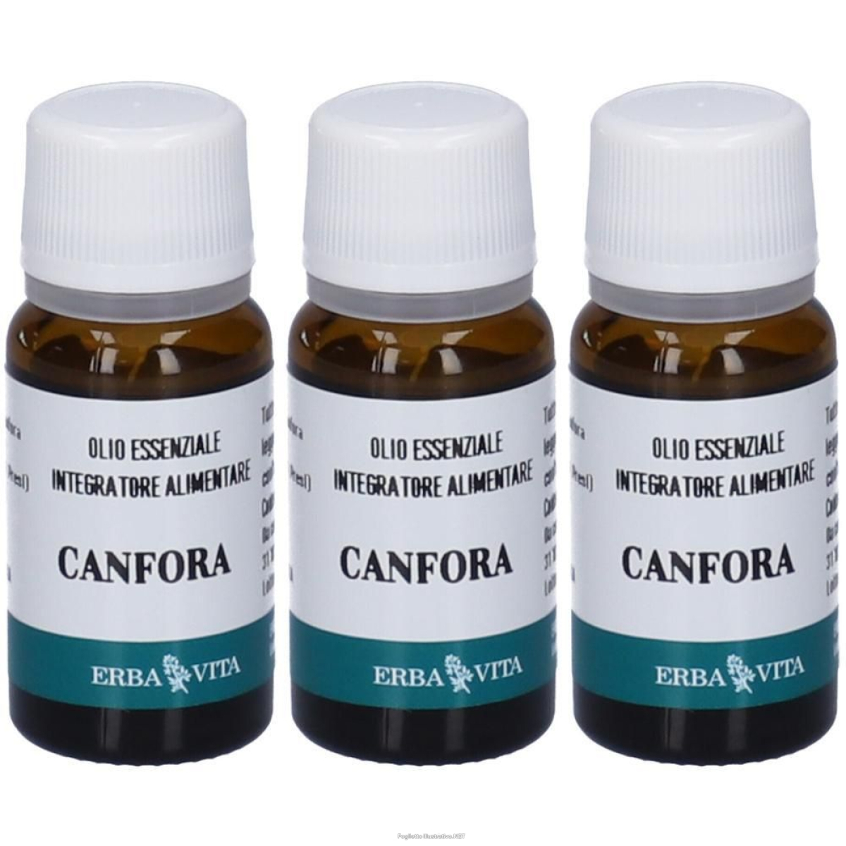 Acquista Online erva vita canfora olio essenziale 3x10 ml essenziale e Cerca l'offerta più bassa
