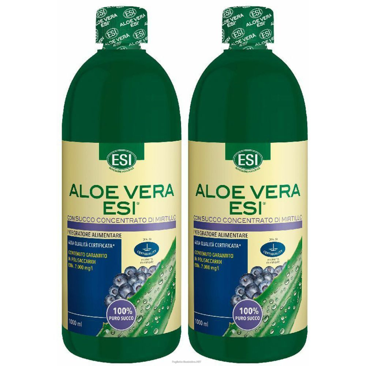 Acquista Online esi® aloe vera mirtillo set da 2 2x1000 ml sciroppo e Cerca l'offerta più bassa