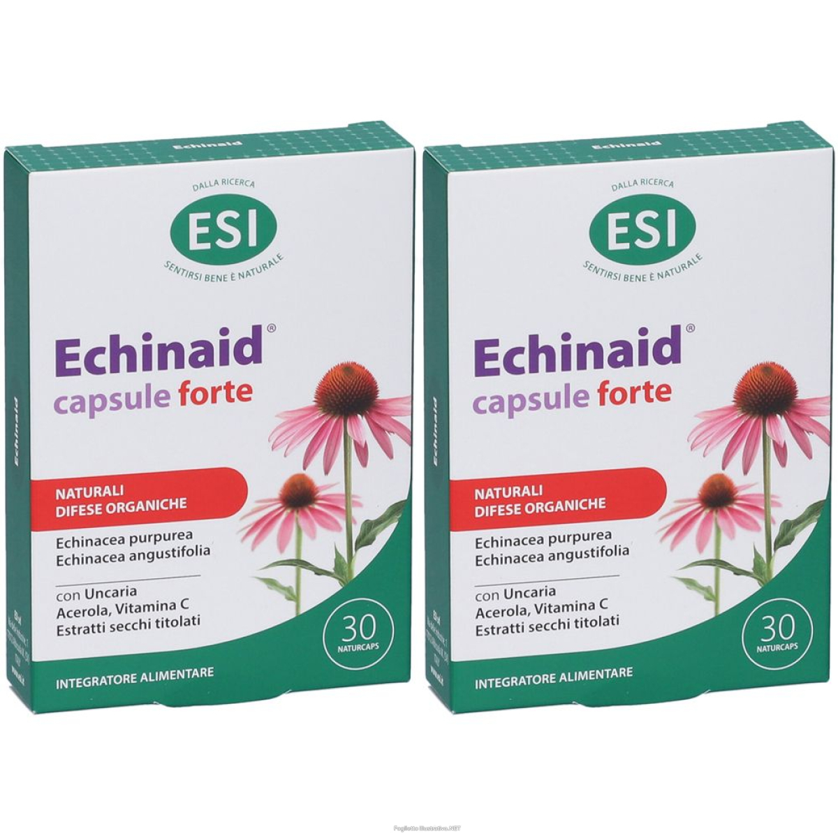 Acquista Online esi echinaid forte natur capsule set da 2 2x30 pz e Cerca l'offerta più bassa