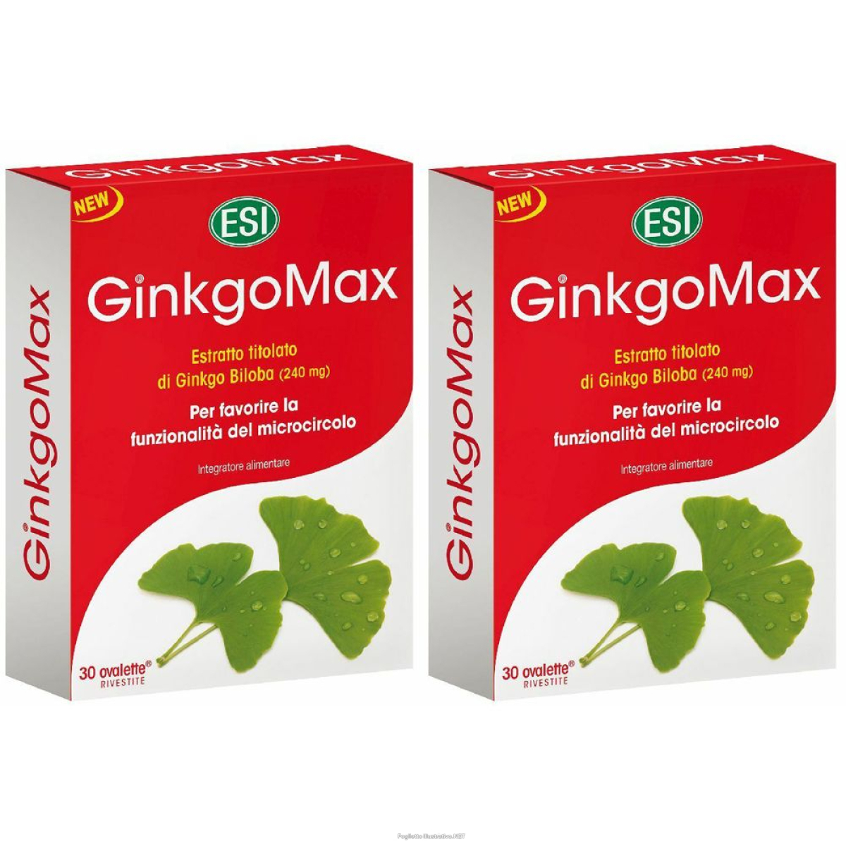 Acquista Online esi ginkgomax® set da 2 2x30 pz capsule e Cerca l'offerta più bassa