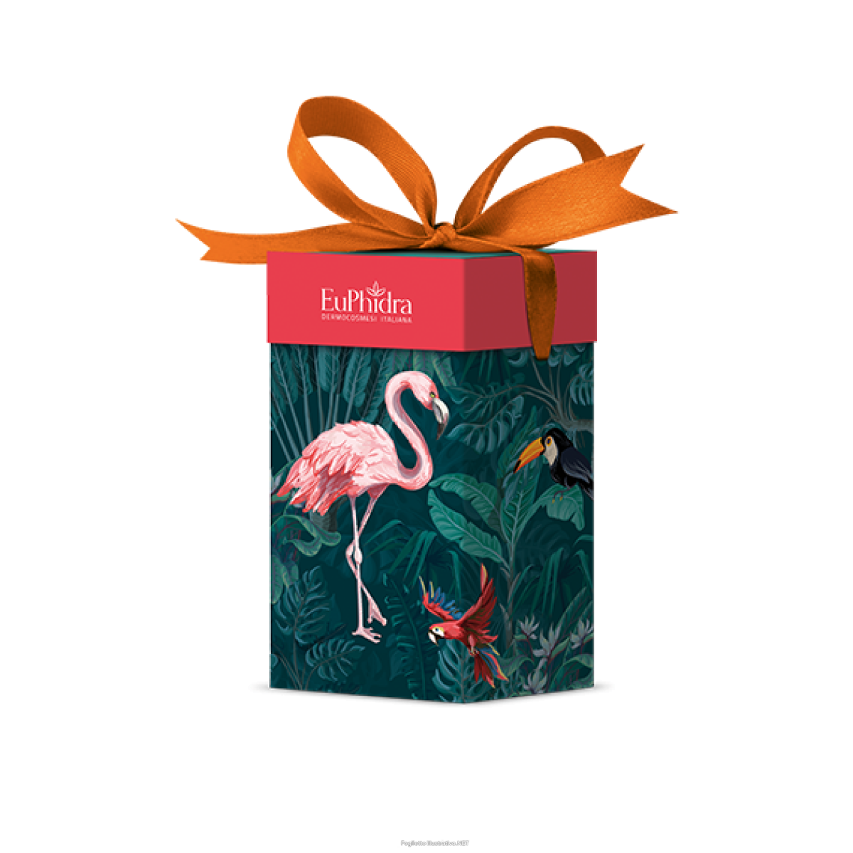 Acquista Online euphidra cofanetto di natale body harmony corpo - crema corpo idratante 250 ml + srub corpo 200 ml e Cerca l'offerta più bassa