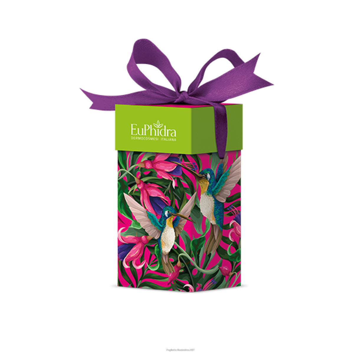 Acquista Online euphidra cofanetto di natale magenta royale benessere mani - crema mani nutriente + smalto unghie rinforzante e Cerca l'offerta più bassa