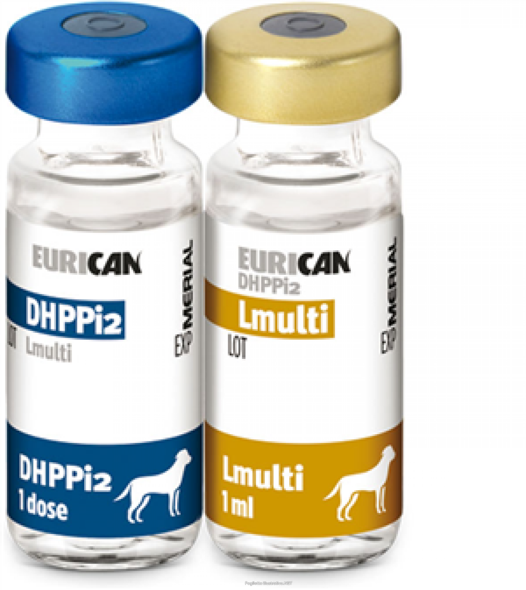 Вакцина для собак l. Эурикан dhppi2 вакцина для собак. Эурикан LR И dhppi2. Эурикан DHPPI+L для собак. Вакцина Merial Эурикан.