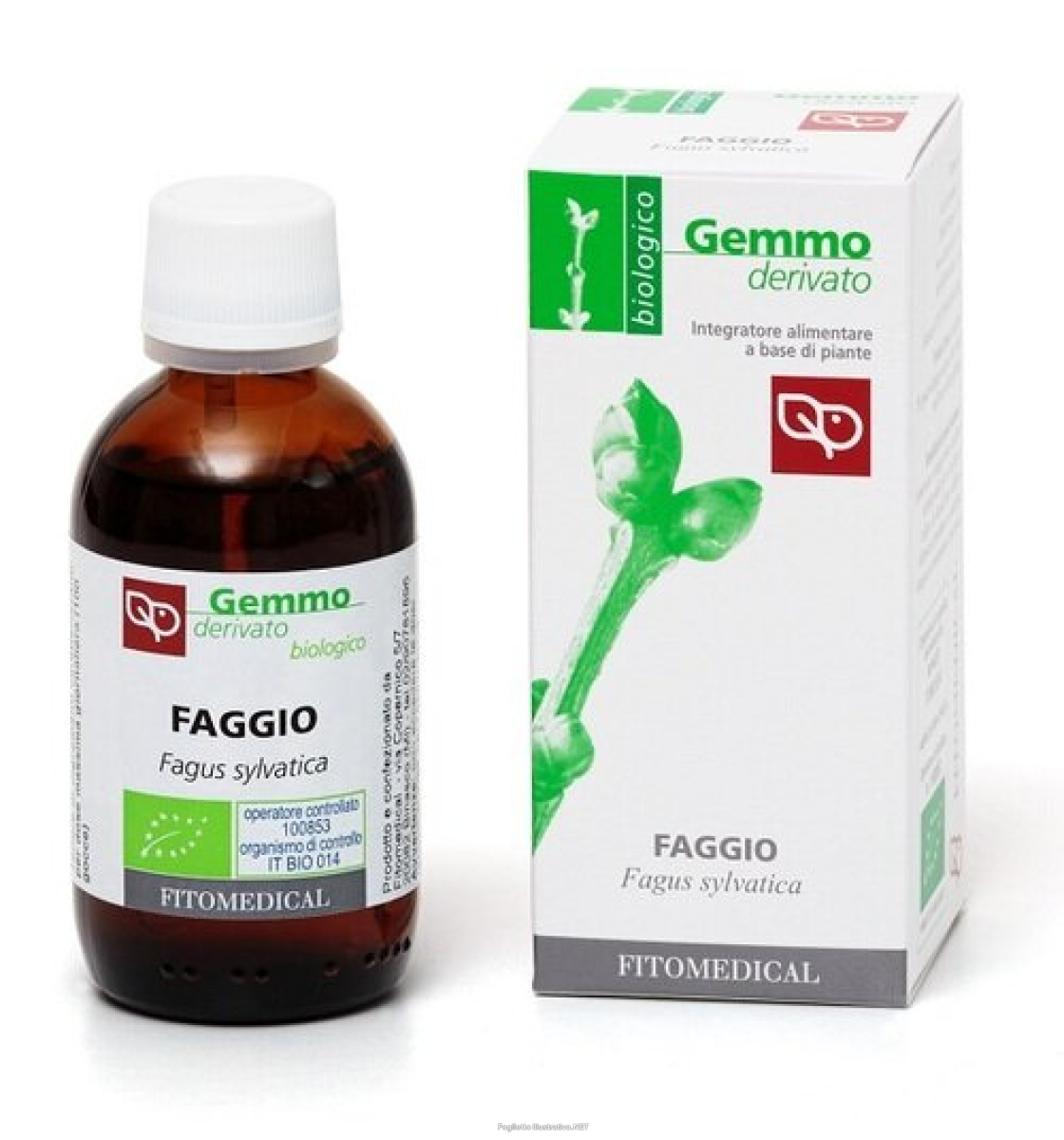 Compra Online faggio macerato glicerinato bio 50 ml e Trova l'offerta più bassa
