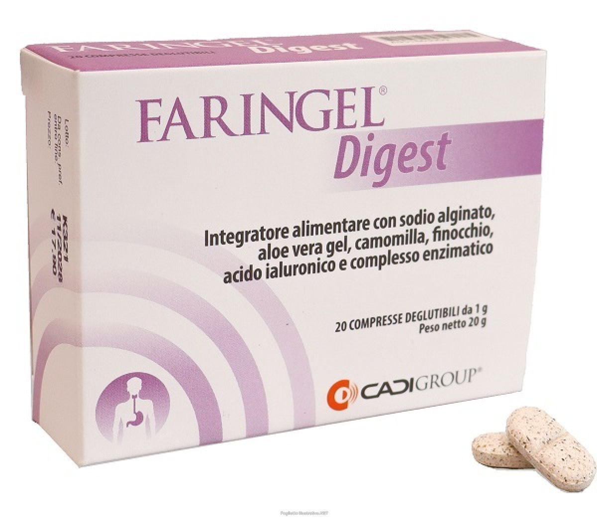 Compra Online faringel digest 20 compresse deglutibili - integratore per la funzione digestiva e l'eliminazione dei gas intestinali e Trova l'offerta più bassa