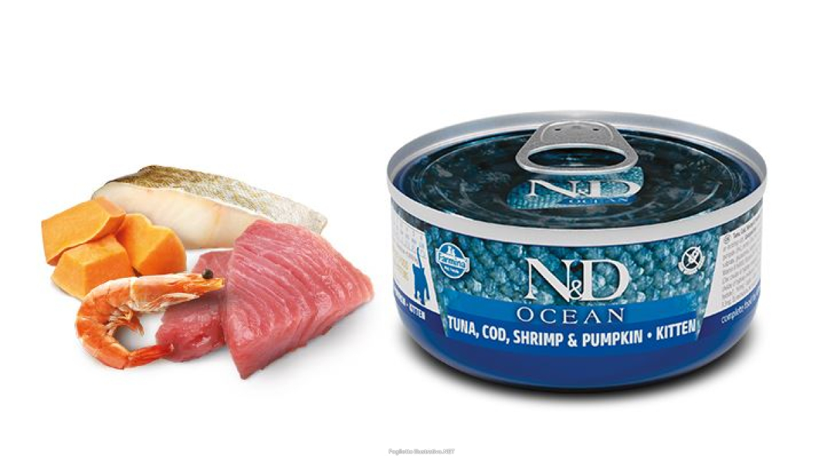 Compra Online farmina n&d ocean con tonno merluzzo gamberetto e zucca wet food per g e Trova l'offerta più bassa