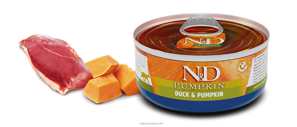 Compra Online farmina n&d pumpkin anatra & zucca wet food gatti 70 g mangime e Trova l'offerta più bassa
