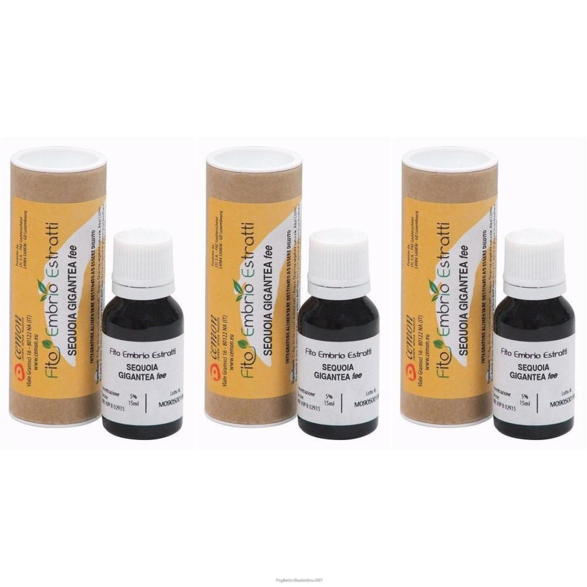 Compra Online fee sequoia gigantea 15 ml 3x15 ml soluzione orale e Trova l'offerta più bassa