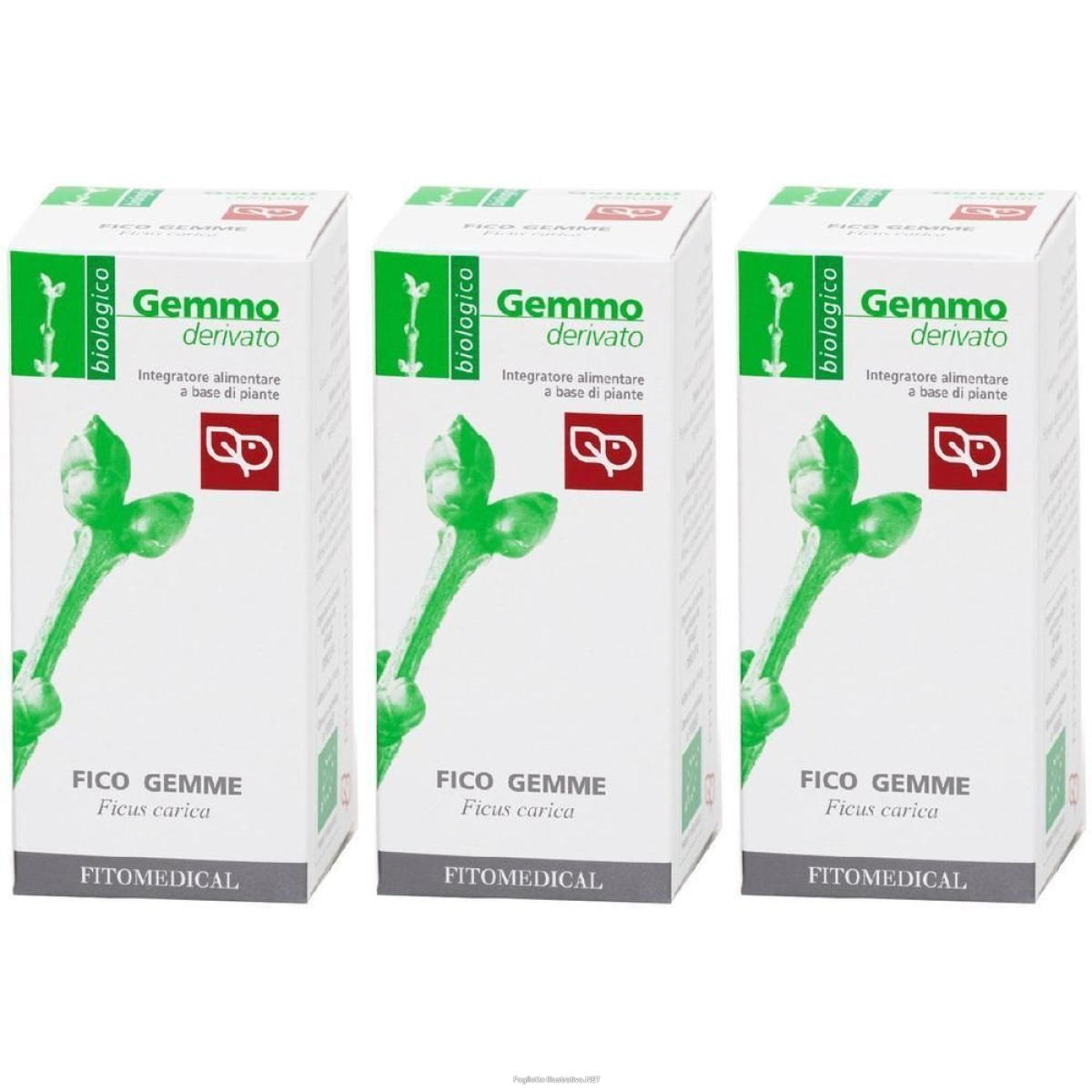 Compra Online fico macerato glicerico 50 ml bio 3x50 ml gocce orali e Trova l'offerta più bassa